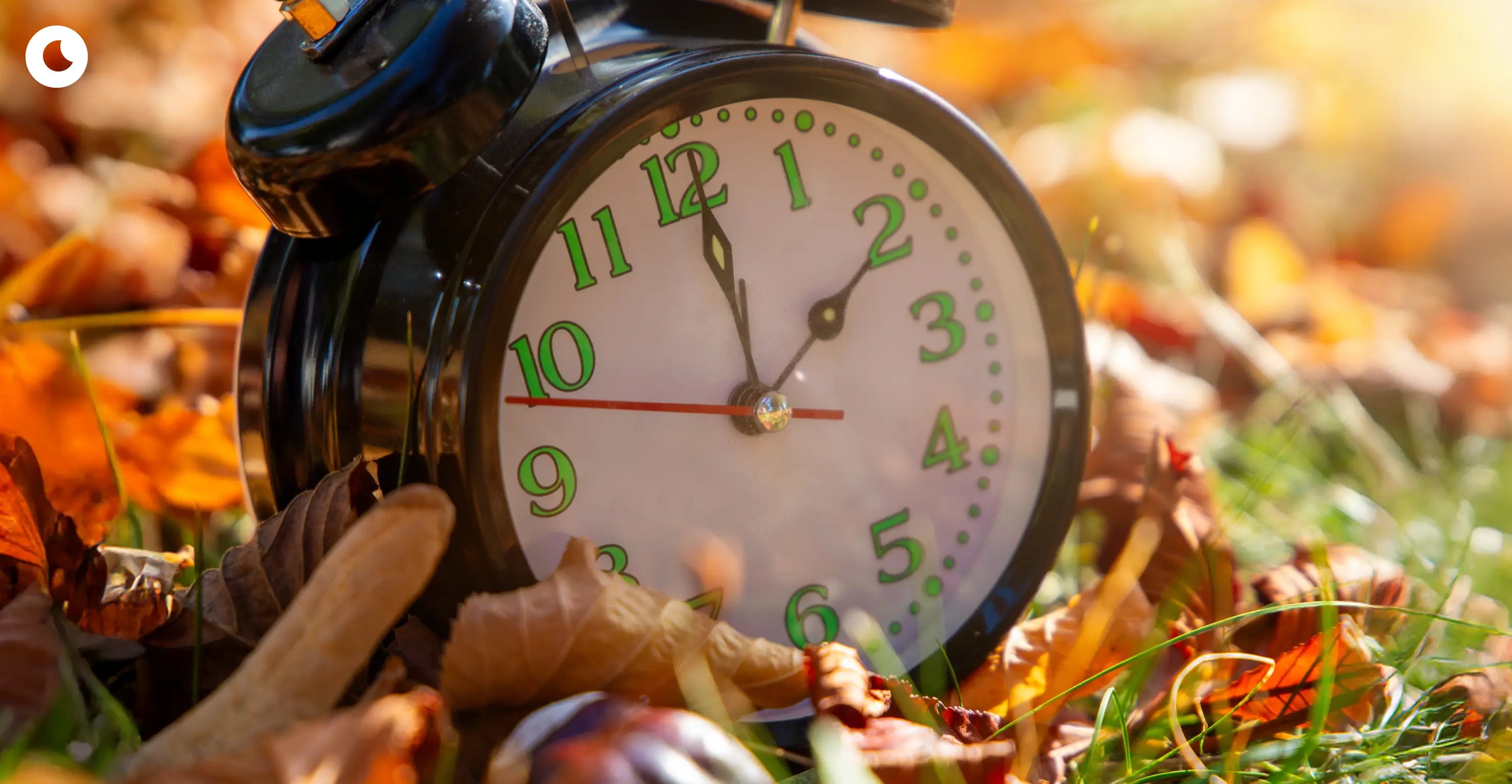 Uhr, die auf Winterzeit umgestellt wird im Herbstlaub